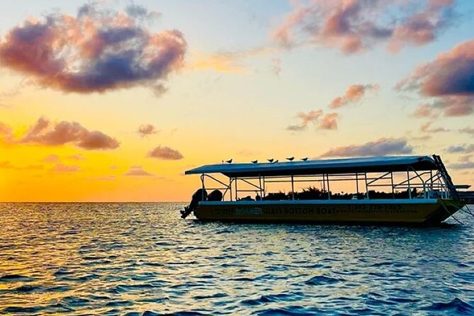 2 Stop Reef Snorkel and Glass Bottom Boat Adventure - Small groups and the crew’s role