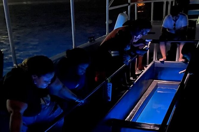 2 Stop Reef Snorkel and Glass Bottom Boat Adventure - Who should book this experience