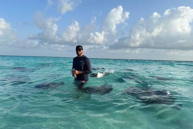 3 Hour Jet ski Adventure Swim with Rays and More - Stingray City: 45 minutes with Grand Cayman’s famous rays