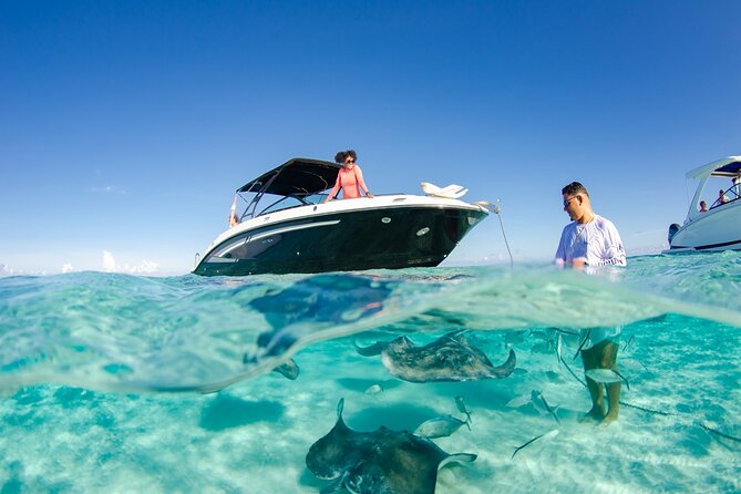3 Hour Private Charter on Stingray City with Snorkeling - Key points at a glance