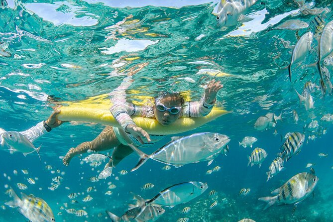 3 Hour Private Charter on Stingray City with Snorkeling - Comfort, service, and what is supplied