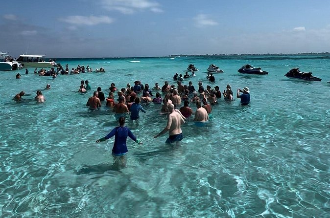 3 Stop Boat Tour Stingray City Coral Gardens and Starfish Point - Coral Gardens or the Barrier Reef