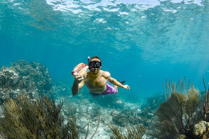 4 hour Private Boat charter to Stingray City, Snorkeling and More - Optional mangroves, Rum Point, and bioluminescent water