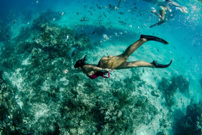 4 hour Private Boat charter to Stingray City, Snorkeling and More - Boat comfort, equipment, and crew service
