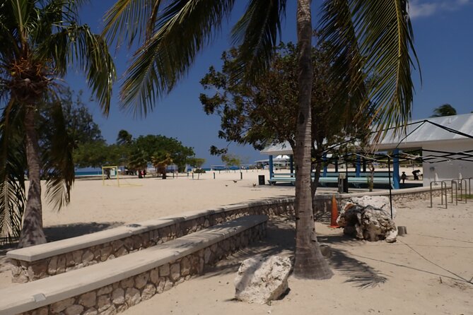 4-Stop Stingray, Snorkel, Star Fish & 7 Mile Beach (Family Owned) - Local crew and small-group feel