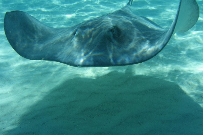 4-Stop Stingray, Snorkel, Star Fish & 7 Mile Beach (Family Owned) - Boat comfort and weather concerns