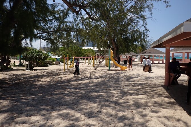 4-Stop Stingray, Snorkel, Star Fish & 7 Mile Beach (Family Owned) - The $85 price and overall value