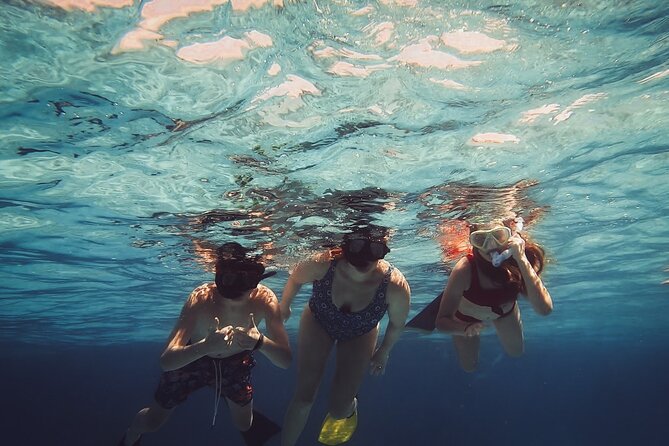Acquarius Stingray City and Snorkel Tours - A half-day built around Grand Cayman’s best-known waters