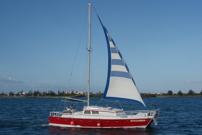 Acquarius Stingray City and Snorkel Tours - Is $79 good value for Grand Cayman?