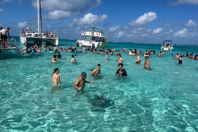 Aquaholic Charters: Private 1.5 - 4Hrs Cayman Luxury Adventure - What the $399 group price really buys