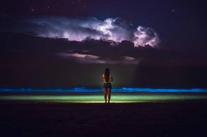Bioluminescent Bay Adventure in Grand Cayman - Is $125.10 a fair price?