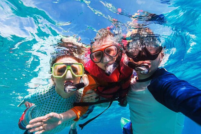 Cayman Adventure: Starfish Point, Stingray City and Coral Gardens - Stingray City, where the water stays below five feet