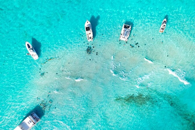 Cayman Adventure: Starfish Point, Stingray City and Coral Gardens - Starfish Point and the gentler final stop