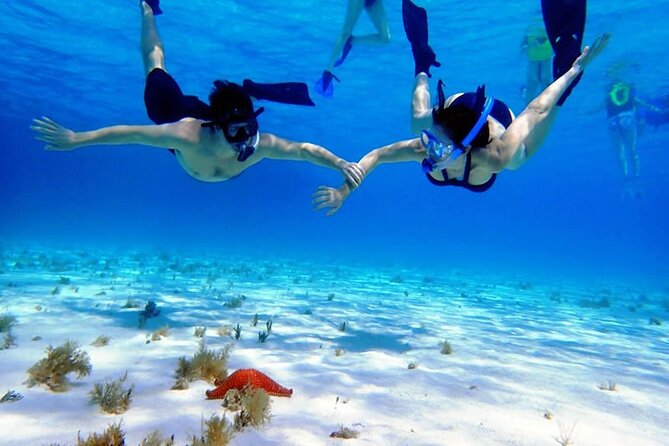 Cayman Adventure: Starfish Point, Stingray City and Coral Gardens - A boat outing praised for safety and crew attention