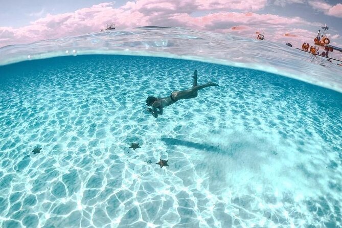 Cayman Adventure: Starfish Point, Stingray City and Coral Gardens - Cruise pickup requires extra attention
