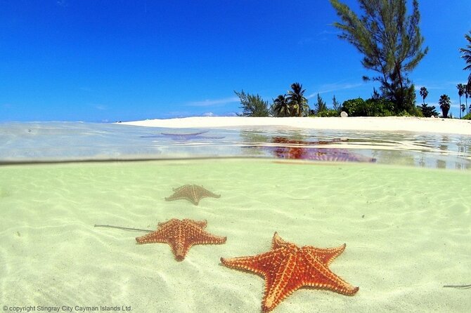 Cayman Adventure: Starfish Point, Stingray City and Coral Gardens - Who will enjoy this three-stop tour most