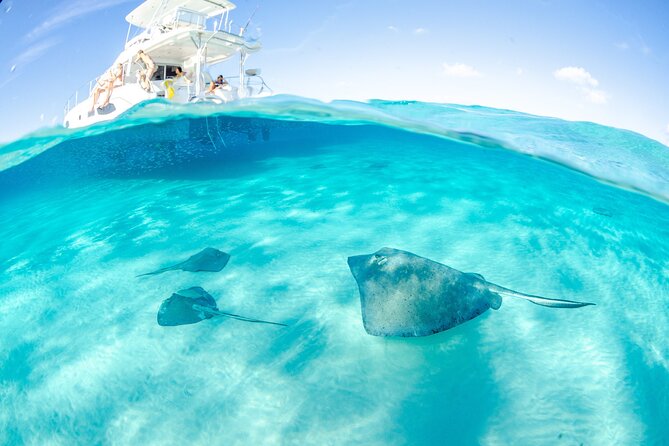 Cayman Adventure: Starfish Point, Stingray City and Coral Gardens - Coral Gardens for a shorter snorkeling session