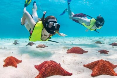Cayman Combo Tour: Stingrays, Starfish Point and Crystal Caves