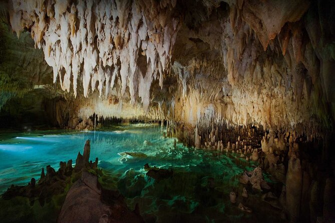 Cayman Combo Tour: Stingrays, Starfish Point and Crystal Caves - A quieter stop at Starfish Point