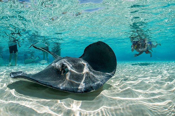 Cayman Combo Tour: Stingrays, Starfish Point and Crystal Caves - Exploring the caves beneath Grand Cayman