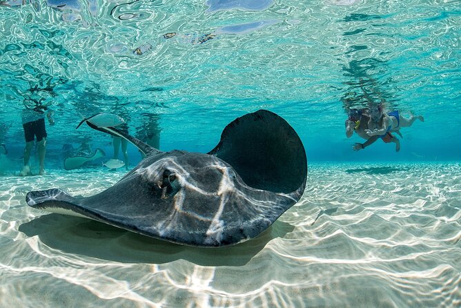 Cayman Combo Tour: Stingrays, Starfish Point and Crystal Caves - Who will get the most from the $109 price?