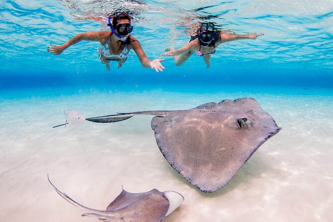 Cayman Combo Tour: Stingrays, Starfish Point and Crystal Caves - What to bring and how to prepare