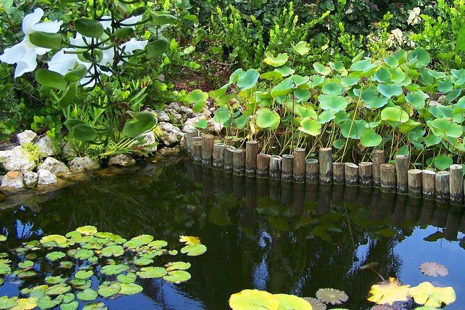 Cayman Crystal Caves & Pedro St James Castle or Botanical Garden - What to bring and what to confirm