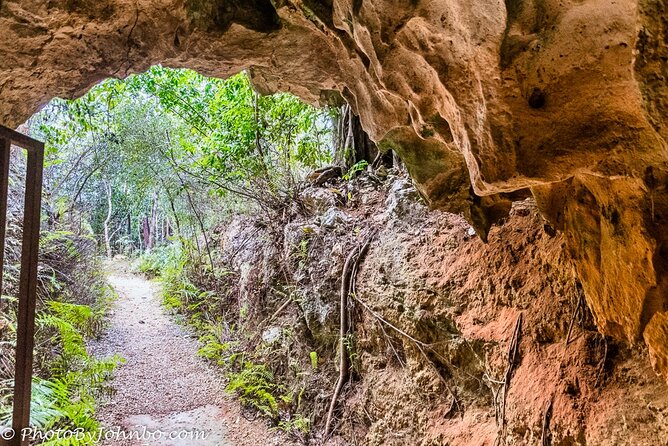Cayman Crystal Caves Tour in Grand Cayman - A half-day change of pace from Grand Cayman’s beaches