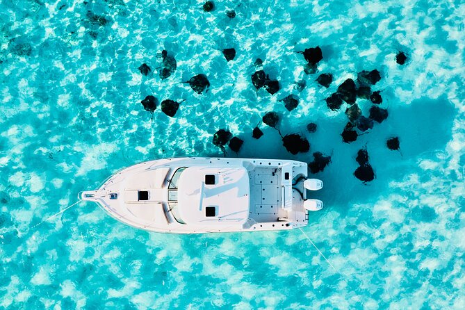 Cayman Private Luxury Charters - Stingray City, Snorkel, & More - Why a private charter works well in Grand Cayman