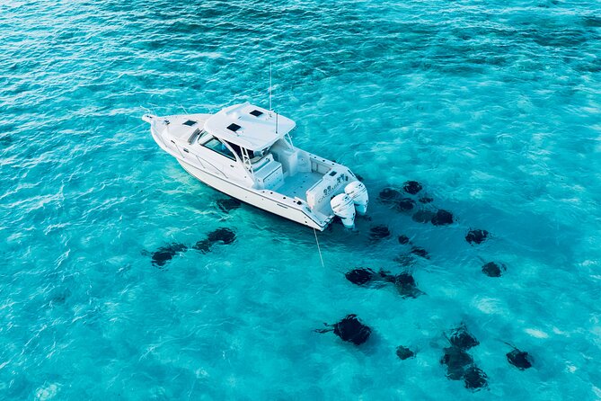 Cayman Private Luxury Charters - Stingray City, Snorkel, & More - Coral Gardens near Rum Point