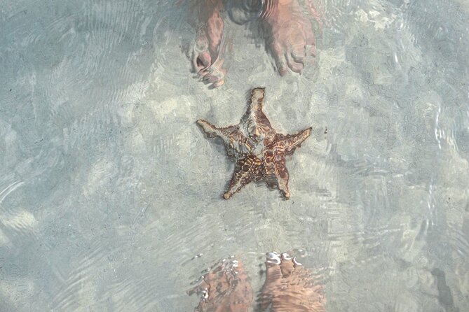 Cayman Ultimate Tour: Stingrays, Starfish Point and Crystal Caves - Stingray City: calm water and close encounters