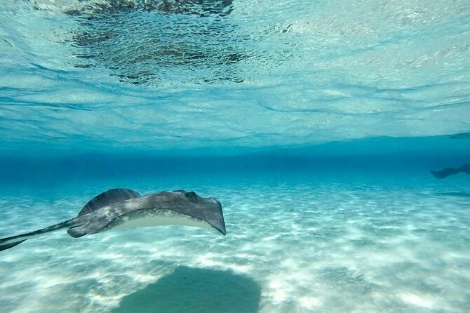 Cayman Ultimate Tour: Stingrays, Starfish Point and Crystal Caves - Booking advice that can save frustration