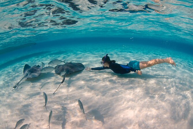CaymanVisitor Hide & Seek GeoTour Self-Drive Tour - What the Hide & Seek format adds to Cayman