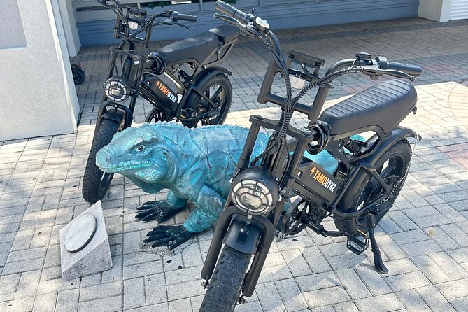 Coastal E-Bike Adventure: Full-Day Self-Guided Tour Grand Cayman - Quick takeaways for your Grand Cayman ride