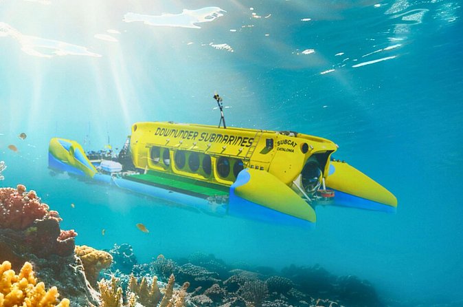 Exclusive Cayman Underwater Adventure: Yellow Submarine Cayman - Practical details that affect your day