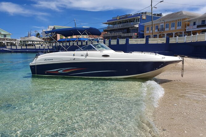 Full-Day Private Stingray City Snorkeling and Starfish Beach Tour - Key Details Before You Book