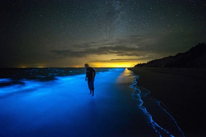 Grand Cayman Bioluminescence Adventure - Quick facts about the glowing-water trip