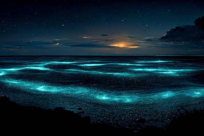 Grand Cayman Bioluminescence Adventure - Why Grand Cayman’s night water is worth your evening