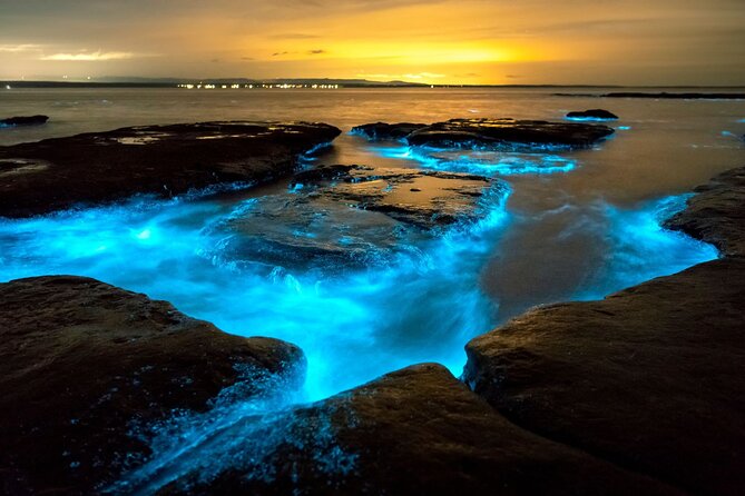 Grand Cayman Bioluminescence Adventure - Entering the bioluminescent bay after dark