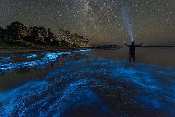 Grand Cayman Bioluminescence Adventure - What the group size means on the water