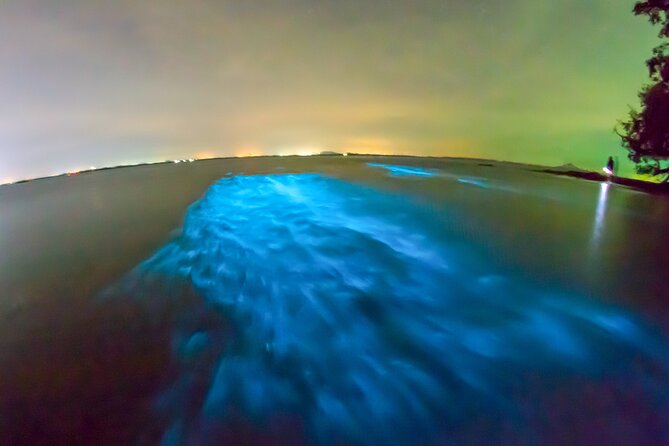Grand Cayman Bioluminescence Adventure - Who should book this Grand Cayman night tour