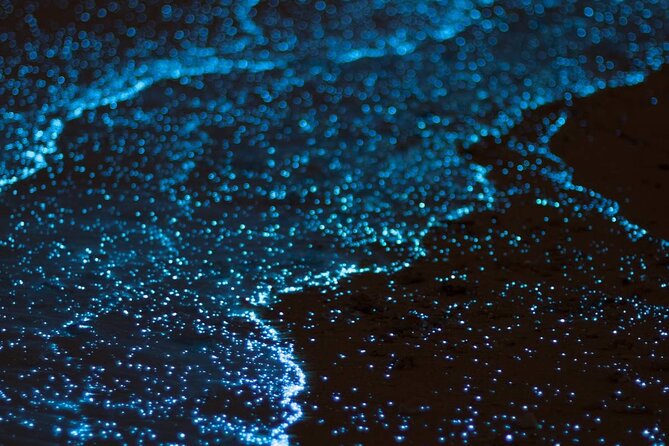 Grand Cayman Bioluminescence Experience - Reaching Bio Bay after dark