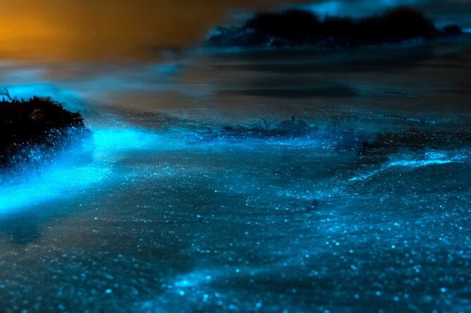 Grand Cayman Bioluminescence Experience - What the $143.10 price includes
