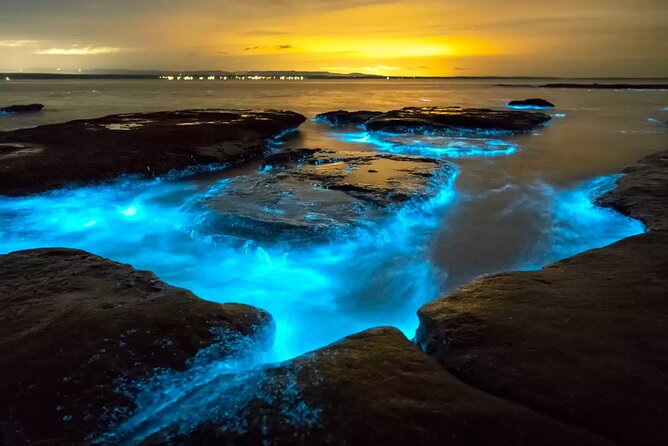 Grand Cayman Bioluminescent Bay Adventure - Key points to know before you go