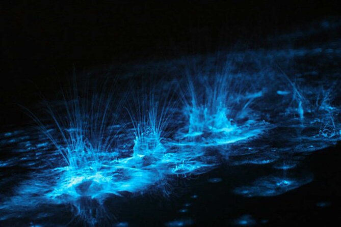 Grand Cayman Bioluminescent Bay Adventure - Why Grand Cayman’s glowing water is worth seeing