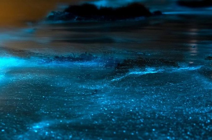 Grand Cayman Bioluminescent Bay Adventure - Moonlight, weather, and the natural limits of the show