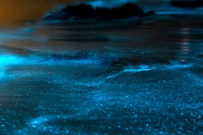 Grand Cayman Bioluminescent Bay Adventure - Practical timing and what to pack