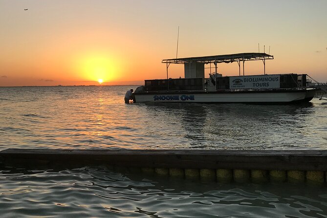 Grand Cayman - Bioluminescent Bay Tour - Swimming and snorkeling in the glowing water