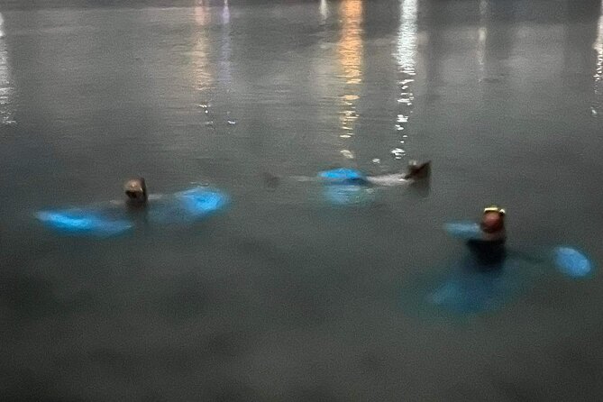 Grand Cayman - Bioluminescent Bay Tour - Practical preparation for the evening