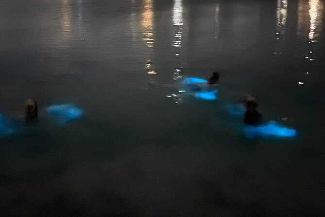 Grand Cayman - Bioluminescent Bay Tour - Who should book this Grand Cayman tour?